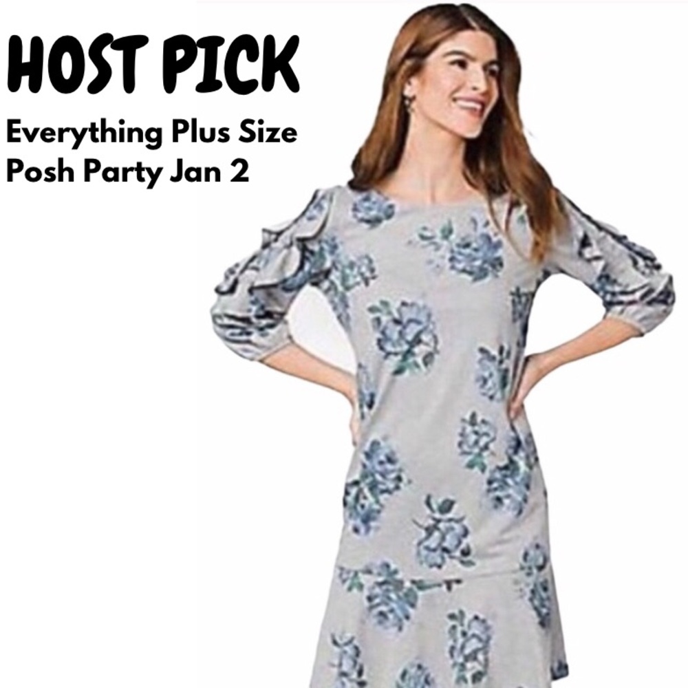 🆕 Westport Floral Sweatshirt Dress 1X NWOT